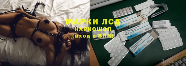 трава Аркадак