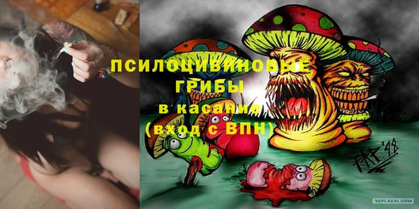 трава Аркадак
