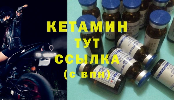 трава Аркадак