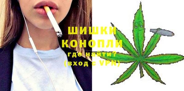 трава Аркадак