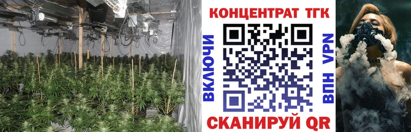 ТГК жижа  ссылка на мегу зеркало  Гай 